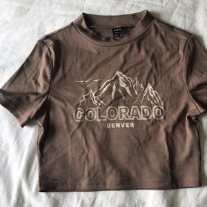 Brown Basic Crop Top